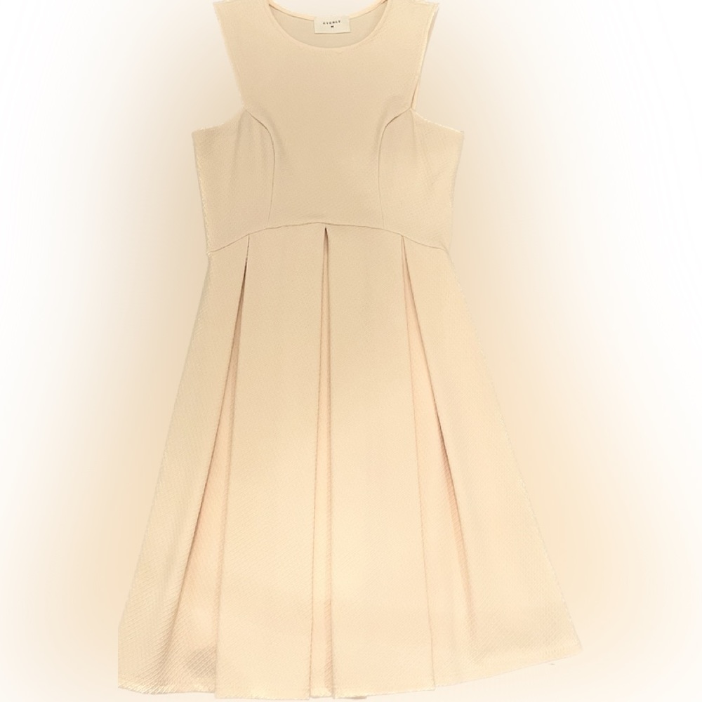 Everly Blush Pleated Cocktail Dress